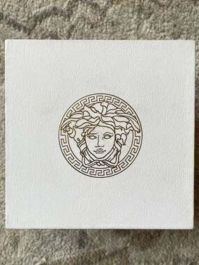 Versace VE6H00123 Dominus Silver Dial Men's Watch 7630615126845